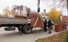 Кировское озеленение убирают на зимовку