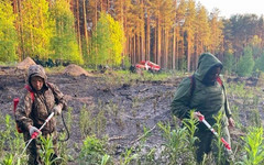 В Кировской области сгорела часть кладбища