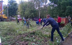 Новый сквер на улице Молодой Гвардии могут назвать в честь вятского селекционера