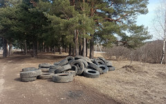 В Заречном парке образовалась свалка грузовых шин