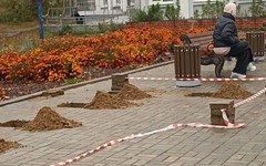 На остановке «Трифонов монастырь» поставят новый павильон
