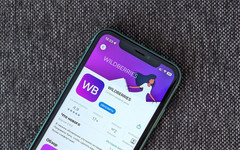 Wildberries начал возвращать комиссию при оплате с карт Visa и Mastercard