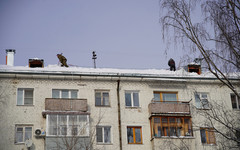 В Кировской области из-за плохой уборки снега внесли 187 представлений