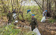 Покрышки, рубероид, обувь и микроволновка: с берегов реки Чумовицы собрали 8 кубометров мусора