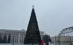 Депутат предупредил о фейковых магазинах с красной икрой перед Новым годом