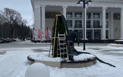 Туи у Вятской филармонии спрятали от солнца