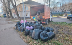 В Кирове подрядчики убирают с улиц листву и смет