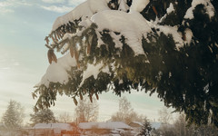 1 февраля в Кирове ожидается снежный шторм с метелью