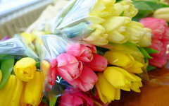 Александр Соколов поздравил жительниц Кировской области с 8 Марта