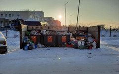 Депутат попросил полицию найти виновных в пропаже базы данных «Куприта»