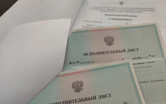 В Слободском должница заплатила 500 тысяч рублей налогов после ареста участка