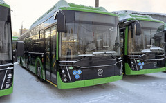 В Кирове на маршруты 21 и 54 вышли новые зелёные ЛиАЗы