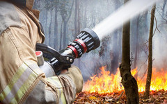 В Советском районе из-за поджога сгорело больше гектара леса