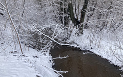 Киров встретит предпоследнюю неделю апреля мокрым снегом и дождями