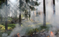 В Кировской области начался пожароопасный период