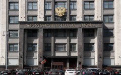 В Госдуме предложили объявить перемирие с Украиной на несколько месяцев для проведения выборов