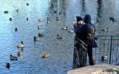 В Кирове прогнозируют аномально тёплый декабрь