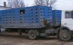 Из Кировской области в Татарстан не выпустили КамАЗ с коровами