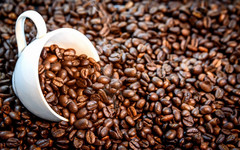 В России перестанут продавать кофе брендов Tassimo, Moccona и Jacobs