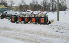 В выходные кировчане выйдут на митинг против мусорной реформы