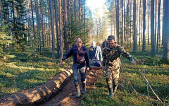 В Слободском лесу спасли женщину, собиравшую клюкву на болоте