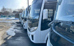 38 муниципалитетов области частично обновили общественный транспорт
