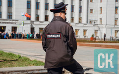 Кировчанка продавала шкуру волка, но лишилась денег