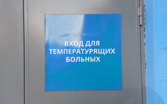 За сутки в Кировской области коронавирусом заразились 195 человек