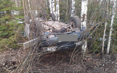 В Орловском районе в аварии пострадала двухлетняя девочка