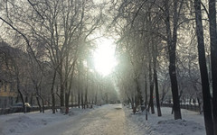 Какая погода ждет кировчан 13 и 14 января?