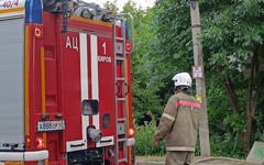 В Слободском районе ликвидировали лесной пожар