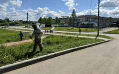 В Костино косят обочины дорог