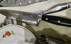 В Кирове пьяный мужчина ударил ножом сожительницу