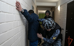 Росгвардейцы задержали похитителя водки в Кирове