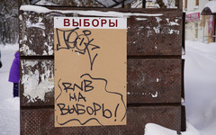 В Госдуму от Кировской области может пойти политтехнолог Дарья Кислицына