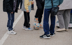 Сегодня в Кировской области впервые отмечается День многодетной семьи