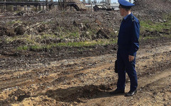 В Слободском районе ликвидировали незаконную свалку древесных отходов