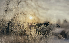 Южный циклон принесет до 26 мм снега на юго-запад Кировской области