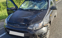 В Зуевском районе водитель сбил 15-летнего велосипедиста