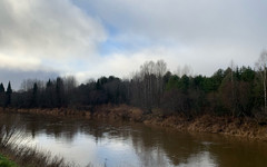 В среду в Кирове будет облачно и до +2 градусов