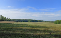 В Кировской области завершилась посевная кампания