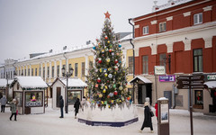 Лучшая ель — в Фалёнском округе