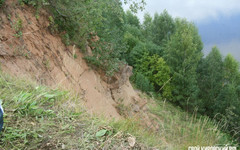 На Котельничском месторождении палеонтологи достают из берега Вятки по частям очередной скелет парейазавра