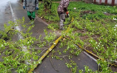 В Кирове устраняют последствия непогоды