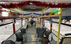 Пассажиров одного из автобусных маршрутов в Кирове встретит Снегурочка