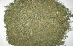 У жителя Кировской области нашли больше килограмма марихуаны