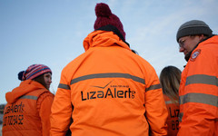 За месяц волонтёры «Лиза Алерт» получили 41 заявку по пропавшим кировчанам