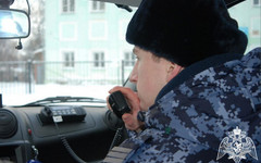 В Кирове вокалистка разбила вывеску