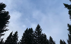 В Кировской области продолжаются поиски людей