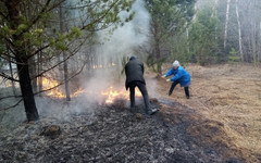 В Вятскополянском районе жители деревни помогли спасти лес от пожара